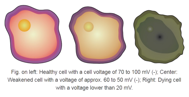 QRSDarkFieldMicroscopy